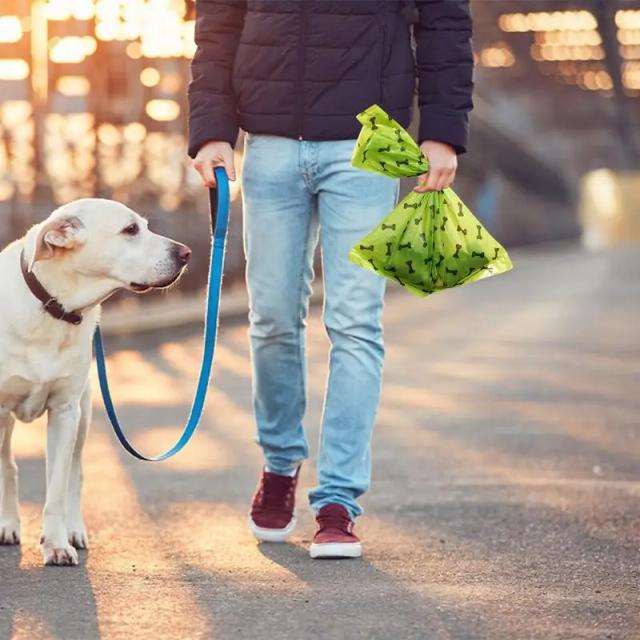 Dispensador Higiênico para Sacos de Cocô de Cachorro com Suporte e Filtros Antodorizantes