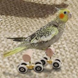 Mini brinquedo papagaio patins dupla fileira pet inteligência treinamento suprimentos - Image 1