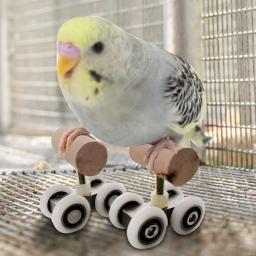 Mini brinquedo papagaio patins dupla fileira pet inteligência treinamento suprimentos - Image 6