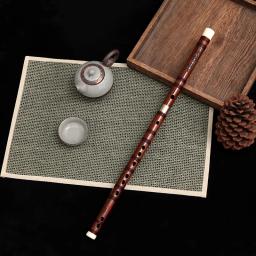 Instrumentos musicais tradicionais chineses, Flauta doce profissional, Flauta transversal de madeira de bambu, Alpinista para adultos - Image 1
