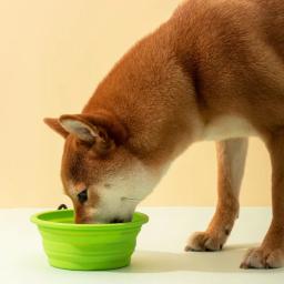 350/1000ml pet cat comida tigela de água para cães gatos seguro látex dobrável filhote de cachorro grande cão de viagem tigelas ao ar livre suprimentos alimentador maschas - Image 1