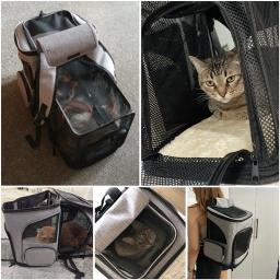 Mochila respirável para cães e gatos, dobrável, expansível, grande capacidade, criativa, transporte, bolsa de viagem - Image 6