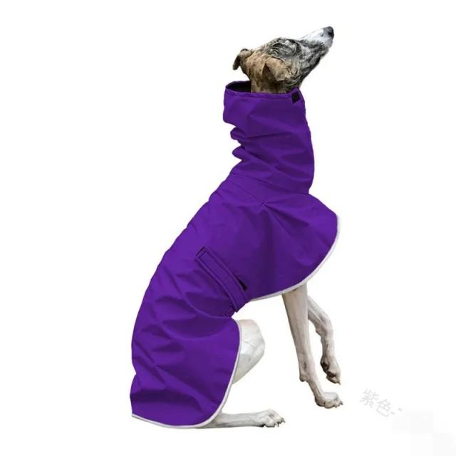 Jaqueta Impermeável e Quente para Cães Médios e Grandes com Colarinho Alto Ajustável para Galgos Italianos no Inverno