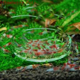 Círculo De Alimentação De Vidro Transparente Para Aquário, Alimentador De Tanques De Peixes, Alimentador De Fundo Flutuante - Image 2