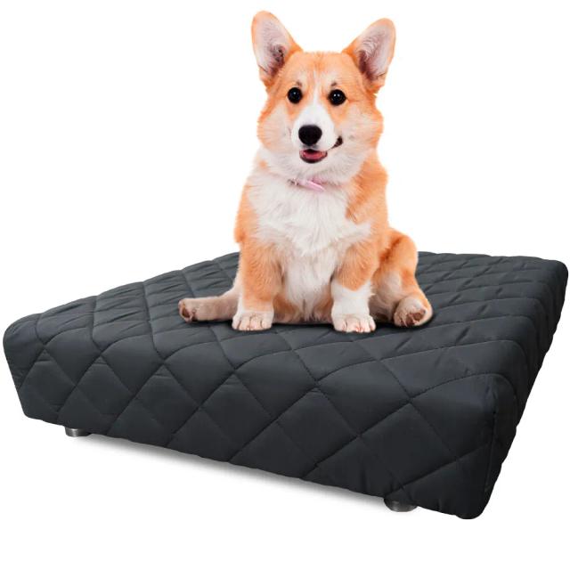 Cama Box Impermeável 50x50x14cm para Cachorros e Gatos com Lençol Branco - Conforto para seu Pet - BF Colchões