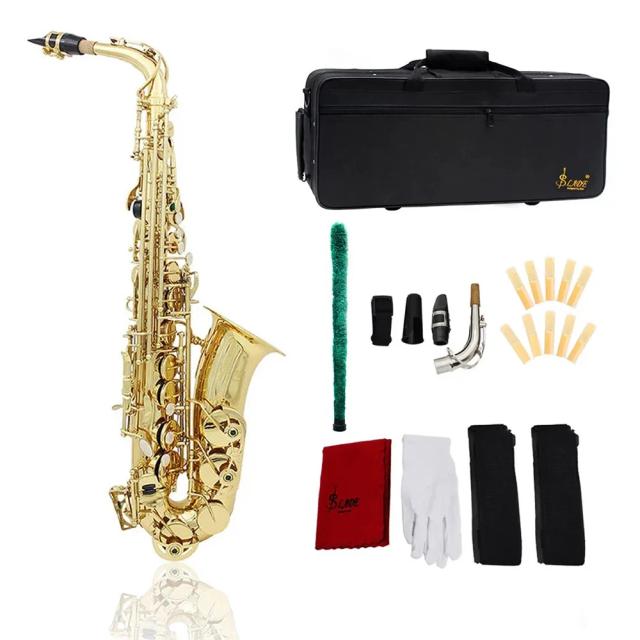SLADE Saxofone Alto Prateado com Estojo, Acessórios e Palhetas Inclusas