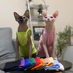 Multicolor Sphynx Pet Clothes para gatos, Roupas de gatinhos de algodão, Camisola de gatos respiráveis, Soft Devon Rex Clothing - Image 1