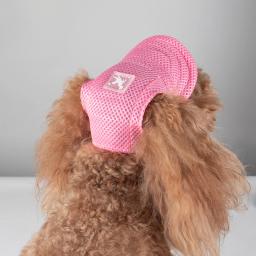 Boné de lona para pequenos animais, acessórios esportivos ao ar livre, caminhadas e esportes, verão - Image 3