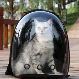 Cápsula Espacial Portátil Para Animais De Estimação, Saco De Gato Respirável, Suprimentos De Viagem, Carregando, Essencial - Image 1