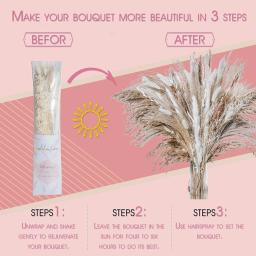 Real Natural Buquê De Flores Secas, Pampas Reed, Pequeno Reed, Rabbit Tail Grass, Home Decor, Mix and Match - Image 5