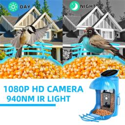 Alimentador inteligente do pássaro com painel solar, câmera impermeável, HD 1080P, Gazebo da vida selvagem, suprimentos de alimentação ao ar livre - Image 4