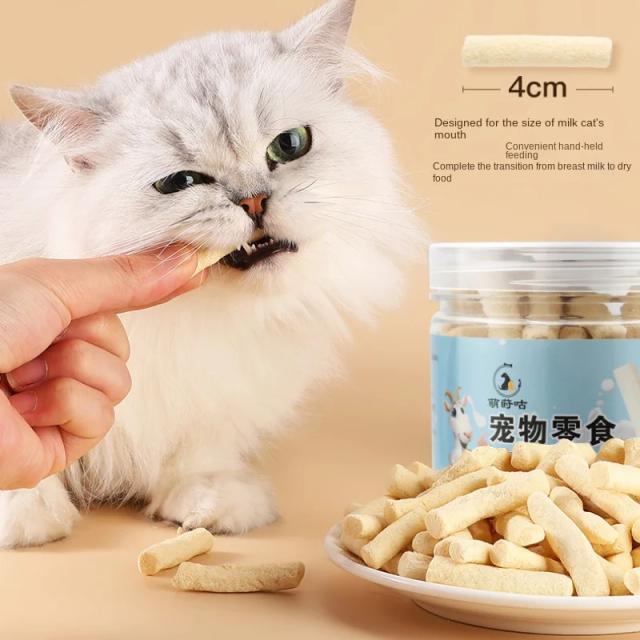 Congelamento de Frango Seco e Leite de Cordeiro, Petiscos de Queijo para Gatos e Dicas para Cuidar dos Dentinhos dos Gatinhos