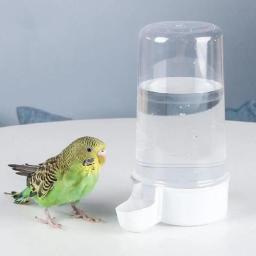 Papagaio automático distribuidor de água calopsita Finch beber copo pequenos animais alimentador de pássaros acessórios para gaiola tigela de alimentação - Image 3