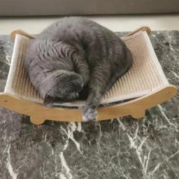 Multifuncional gato de madeira arranhando almofadas, cama de dormir, destacável, resistente ao desgaste, gatinho moagem brinquedos, gatos arranhar placa - Image 3