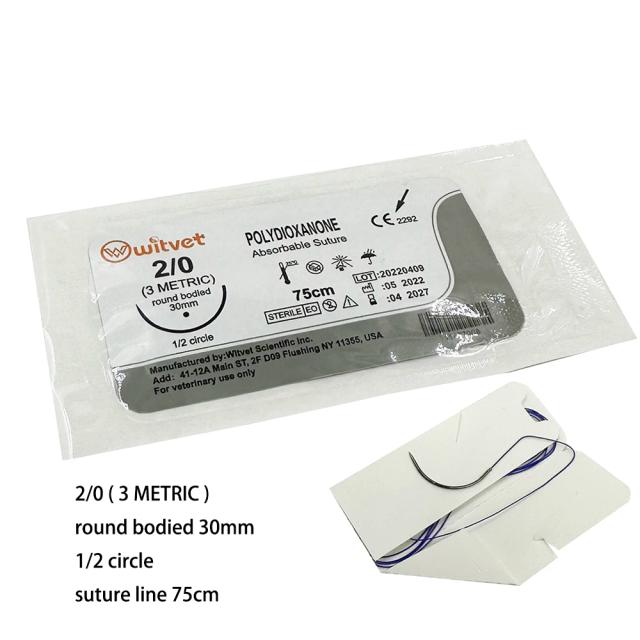 Sutura Cirúrgica Absorvível PGA PDO para Cães de Estimação com Ângulo de Canto da Agulha - Disponível em Tamanhos 2-0 e 3-0, 75cm e 90cm