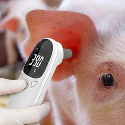 Termômetro veterinário sem contato para cães e gatos, Suprimentos animais, Termômetro Pet - Image 4