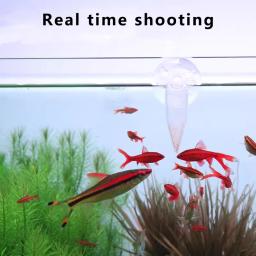 Alimentador automático de peixes com ventosa, Aquarium Cone Feeder, Salmoura Shrimp Food Feeding Cup, 5 pcs - Image 4