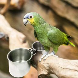 Aço inoxidável Comida e Água Alimentação Bowl com suporte de madeira para Grande Papagaio, Bird Cage Acessório, Pet Shop - Image 2