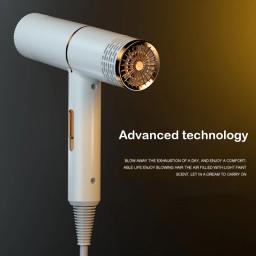 Cão grooming secador de cabelo pet gato ventilador vento quente 1000w ue plug frio ar quente com aquecedor para médio pequeno filhote de cachorro - Image 3