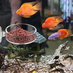 Prato de alimentação de camarão mini tamanho Tanque de peixes do aquário Alimentador de répteis Tigela com ventosa Material acrílico - Image 3