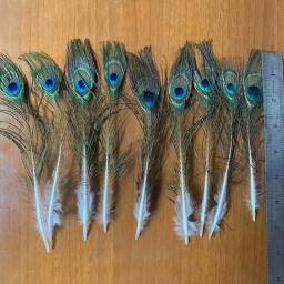 Penas de pavão para casa e hotel, artesanato, decoração, casamento, bricolage, jóias, acessórios, 25-30cm, 10pcs - Image 3
