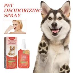 Desodorização interior Spray, urina odor perfume, retenção ambientador, Pet limpeza suprimentos, gato e cão desodorização - Image 3