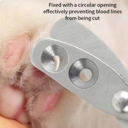 Profissional Nail Clippers para Pet, Aparador de aço inoxidável para pequenos gatos e cães, Puppy Claws Cutter, Grooming Accessories - Image 3