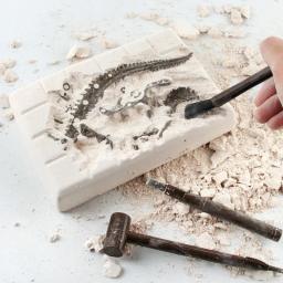 Kits de escavação fóssil de dinossauro educação arqueologia requintado conjunto de brinquedos jurássicos jogo de ação crianças figura esqueleto modelo presente - Image 2