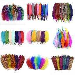 Combinações multicor, ganso Avestruz Penas Artesanato, frango, Turquia, pavão pena, acessórios de artesanato, muitos tipos - Image 1