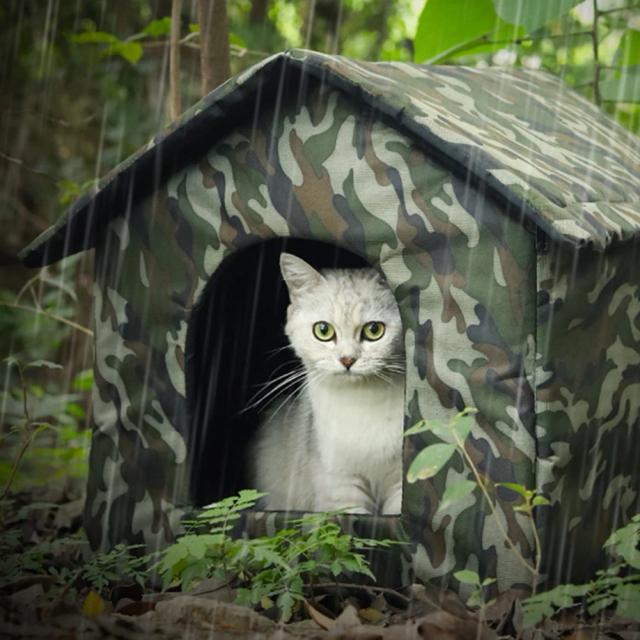 Casas Impermeáveis para Pets: Conforto para Cães e Gatos Pequenos e Médios em Ambientes Internos e Externos no Inverno