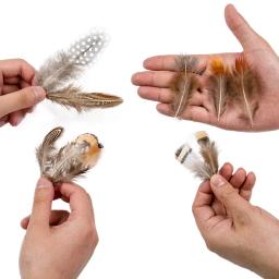 Muito natural pequenas penas de faisão pena de frango para artesanato brincos que fazem acessórios decoração plumas de pavão atacado - Image 3