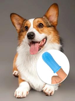 Pet Finger Toothbrush, Escovar Kits, Remoção de mau hálito, Pequeno cão e gato, Produtos de limpeza dental - Image 3