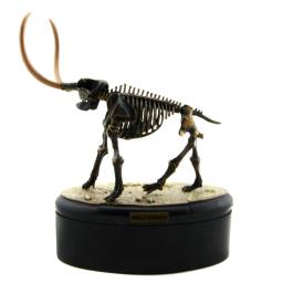 Kits De Construção De Fósseis De Esqueleto De Dinossauros, Brinquedos De Dinossauros, Coleção Model Building Kits, Crânio T-Rex, Artesanato De Decoração, Montagem ABS - Image 4