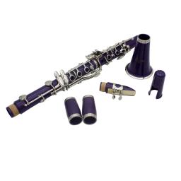 SLADE-Clarinete Profissional com Acessórios Bolsa, Bb, 17 Chaves, 6 Anéis, Roxo, Sopros, Instrumentos Musicais - Image 4