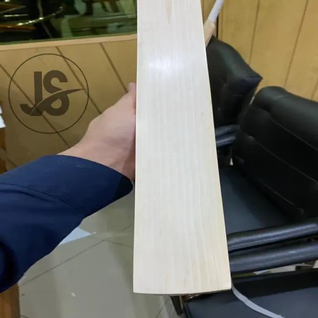 Cricket Profissional: Salgueiro Puro de Grau 1 para Jogadores com Preço Atraente 2022
