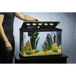 Mini Kit Tanque de Peixes com Iluminação LED e Decoração Fishbowl, 20 Galões, Pequeno, Aquário, Aquários, Pet Acessórios - Image 5