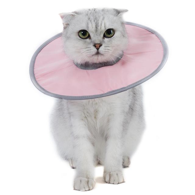 Colar Protetor Anti-Mordida e Lampejo para Gatos com Design Ajustável e Confortável