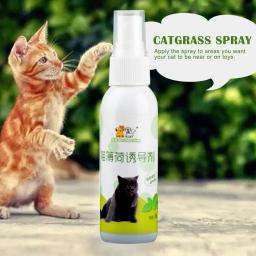 Cat Catnip Spray saudável ingredientes, gatinhos hortelã, Pet Toy, saudável, engraçado, suprimentos naturais, gatos arranhando, gatinho, A6P2, 1 pc - Image 3