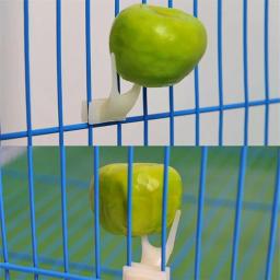 Suporte de alimentos para animais de estimação papagaios, aço inoxidável, vara de lança, frutas, espetos antiaderentes, pássaros suprimentos, gaiola acessórios - Image 5