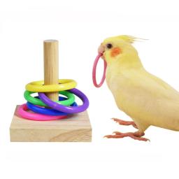 Pássaro brinquedos de treinamento conjunto de brinquedos de quebra-cabeça de bloco de madeira para papagaios coloridos anéis de plástico treinamento de inteligência mastigar brinquedo pássaro suprimentos - Image 1
