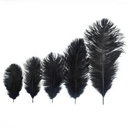 Plumas de Decoração de Penas De Avestruz Preta, Vasos Bordados Artesanais, Mesas De Festa, Decoração DIY, 15-70cm - Image 5
