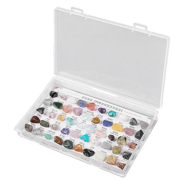 Conjunto de Cristais de Gemas Naturais para Jovens Geólogos - Kit de Ciências Minerais e Caixas de Coleção para Crianças