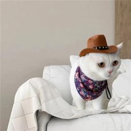 Chapéu de cowboy ajustável para animais de estimação, traje top, headwear gato, tampas de sol, suprimentos para cães pequenos e médios - Image 2