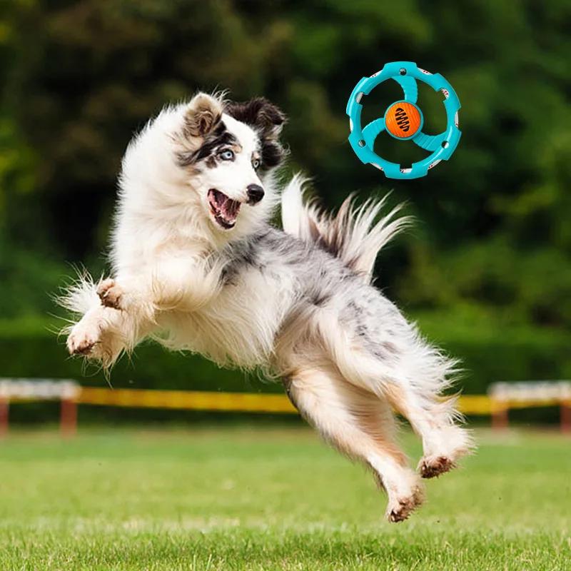 Pet Frisbee Toy Set para cães, bola de comida vazada, brinquedos de desenvolvimento, puzzle suprimentos, seguro e não tóxico - Image 1