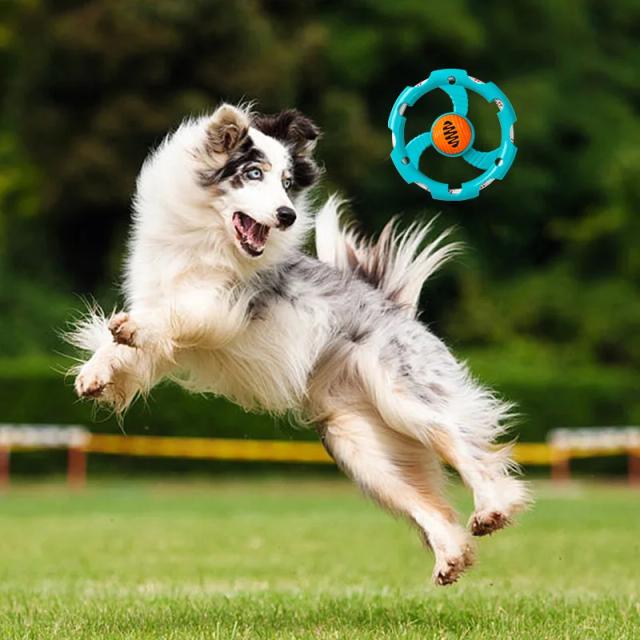 Conjunto de Brinquedos Frisbee para Cães: Bola de Comida Interativa e Brinquedos de Desenvolvimento Seguros e Não Tóxicos