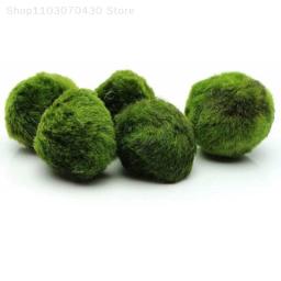 Bolas de musgo Marimo para aquário vivo, algas vegetais, peixe e camarão, ornamento de aquário, planta artificial verde, 3-4cm - Image 6