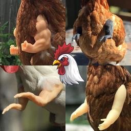 Engraçado Combate Frango Braços Brinquedos, Artificial Vestindo Braço Muscular para Pombo, Hen Pet Tema, Adereços de festa, Frango Acessórios Suprimentos - Image 1