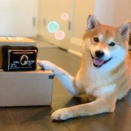 Casca cartão Design mastigar brinquedos para cão, Brinquedo de luxo para cão médio pequeno, Material de limpeza resistente de dentes animais Acessórios para cães - Image 3