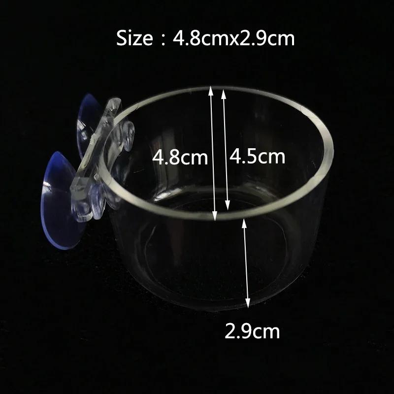 Círculo De Alimentação De Vidro Transparente Para Aquário, Alimentador De Tanques De Peixes, Alimentador De Fundo Flutuante - Image 1
