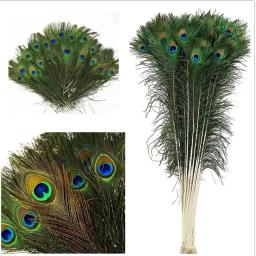 Penas de pavão natural para joalheria, plumas longas, acessórios de festa artesanais, decoração por atacado, 25 30 40 50 60 65cm - Image 5
